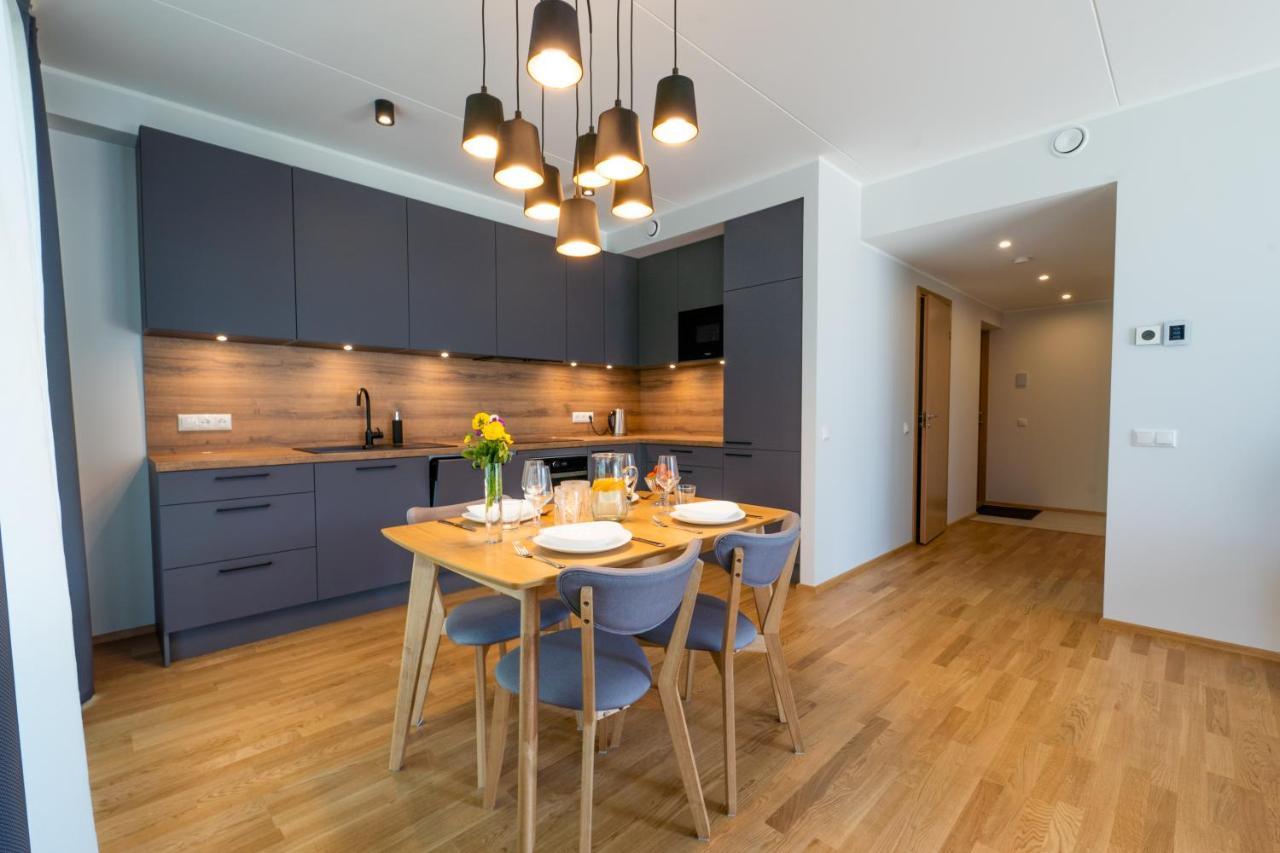 Delta Luxury Apartment With Terrace ตาร์ตู ภายนอก รูปภาพ